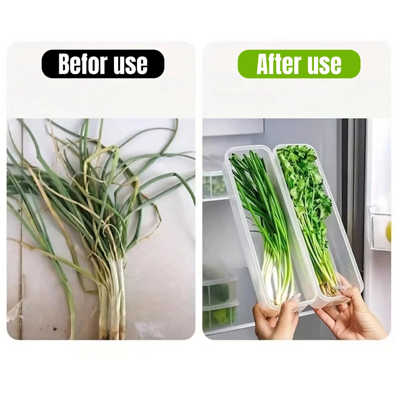 1/2/4 Pcs Bekas Simpanan Peti Sejuk Kedap Udara dengan Penutup untuk Daun Bawang, Ketumbar & Mi