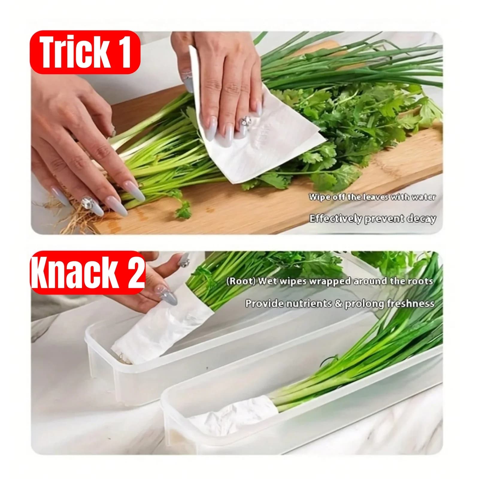 1/2/4 Pcs Bekas Simpanan Peti Sejuk Kedap Udara dengan Penutup untuk Daun Bawang, Ketumbar & Mi